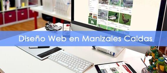 diseño web manizales diseño web manizales