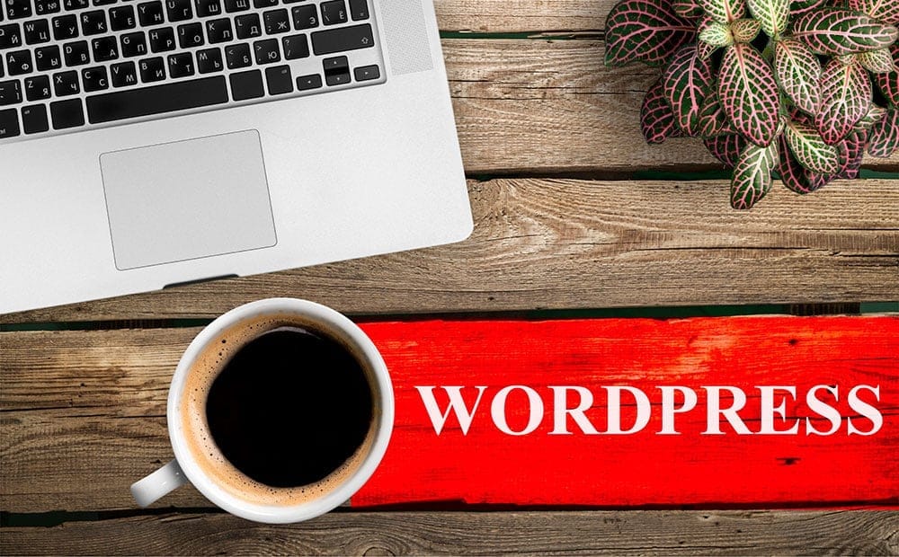 por que hacer una landing page con wordpress por que hacer una landing page con wordpress