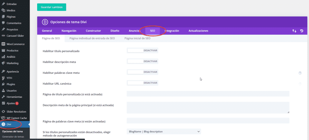 seo con divi seo con divi