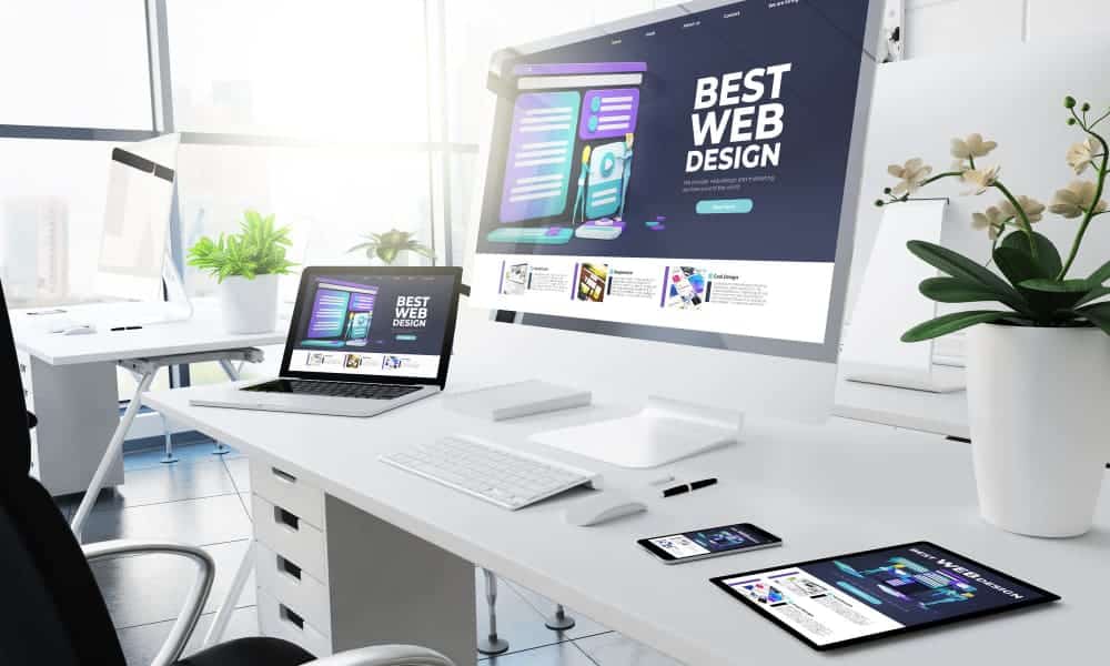 experto en wordpress
